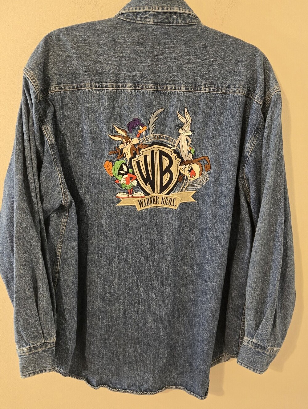 Vintage Warner Bros Studio Looney Tunes Mens L Denim Embroidered Button Up Shirt